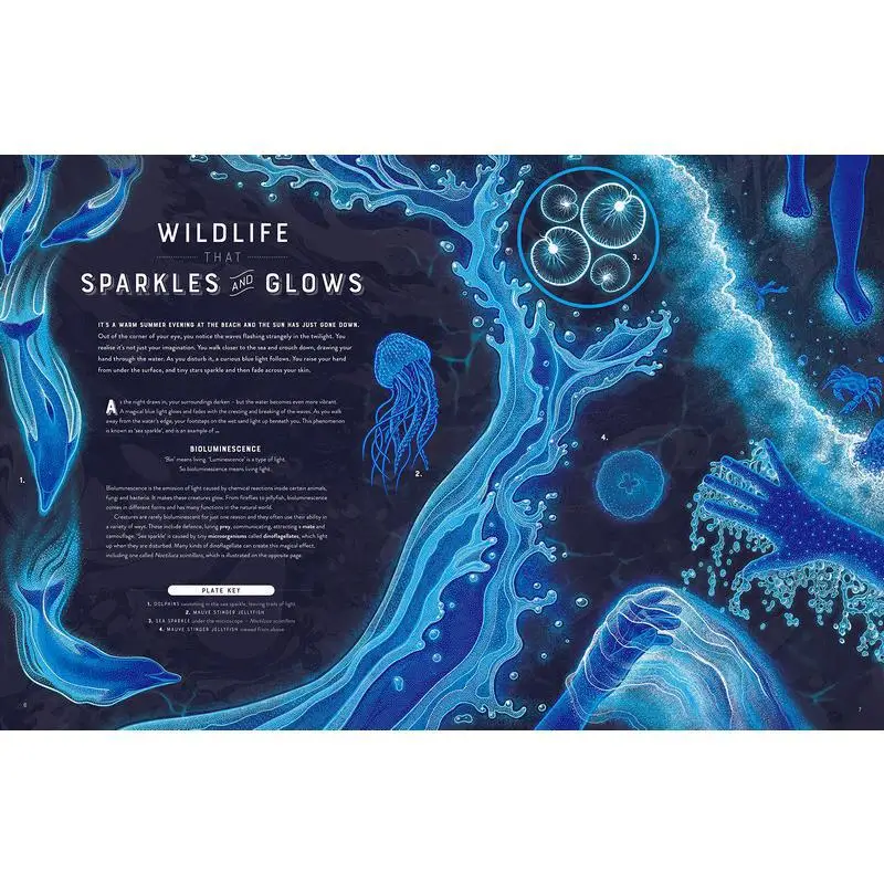 توهج عجائب البرية من التلألؤ البيولوجي جنيفر ن آر سميث ثيمز آند هدسون المحدودة 9780500653203 كتاب