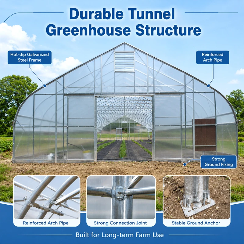 Industrial Large Scale Farming Greenhouse Agriculture Structure Heavy Duty Poly Tunnel PE Cover Climate Control Plant Grow Tent