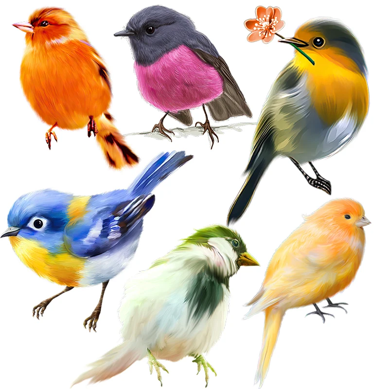 Three Ratels QCF158 Cute Bird Cartoon Personalized Phone Sticker Funny Car Sticker Luggage decals Door Sticker