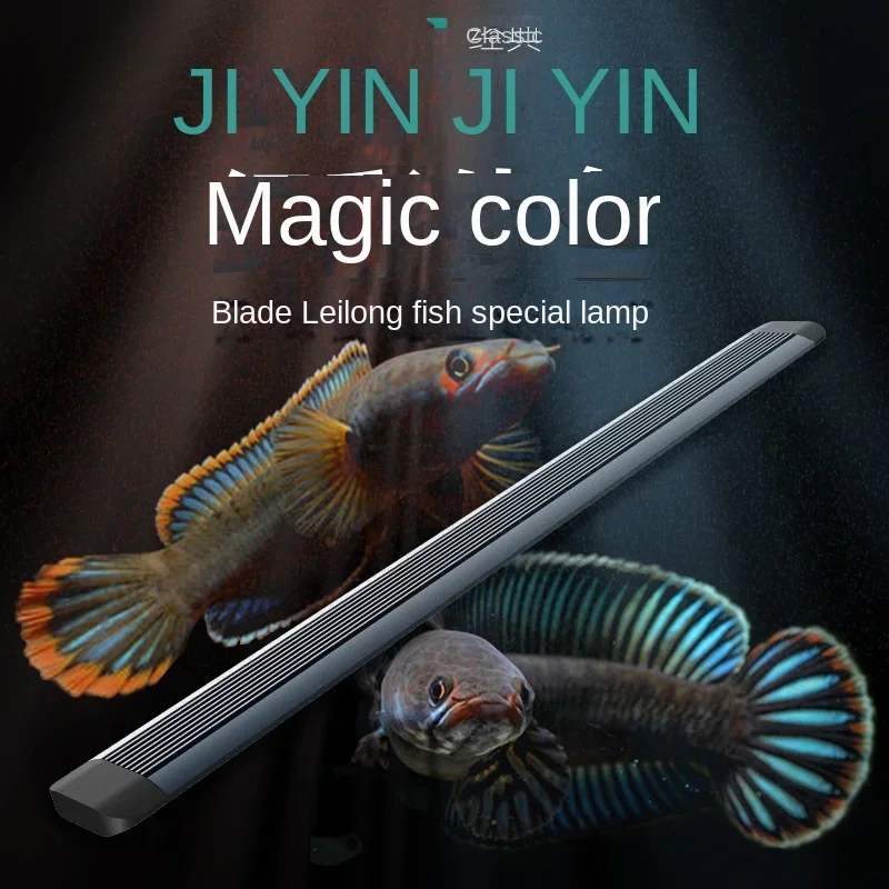 

Thunder Dragon Fish Tank Light, Assam Baka LED Light, Waterproof Moonlight, Blue Eyes, Snake Brightening Color, Special