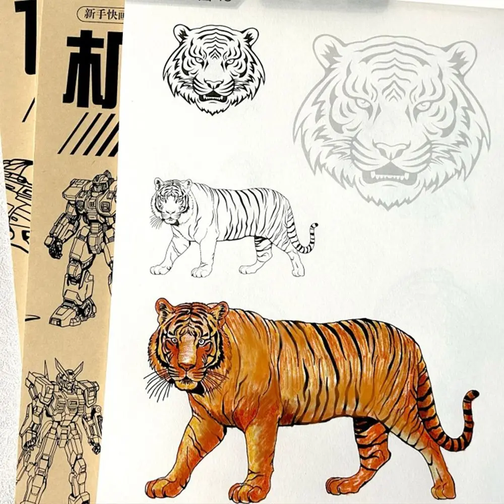 อุปกรณ์ศิลปะสามเณรวาดด้วยมือสอนศึกษา Zero Basic Line ร่างหนังสือ Tracing Sketch Drawing Copy Book เด็ก