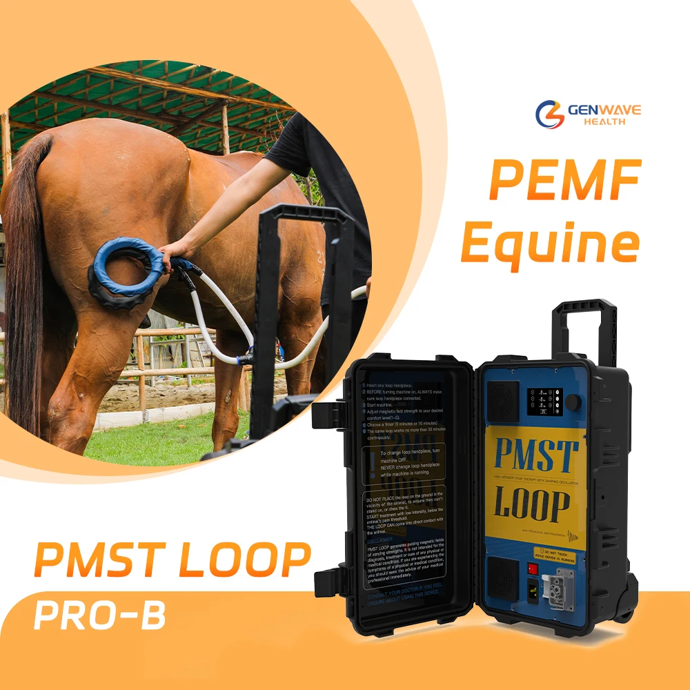 Horse Rehabilitation Machine PMST LOOP For Horse Musculoskeletal Disorders And Pain Relief