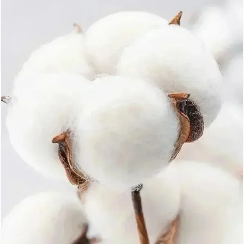 Camiseta de Jesús The Way The Truth The Life, camisetas de fútbol universitario cristiano, camiseta de fe con versículo bíblico, ropa para hombres y mujeres