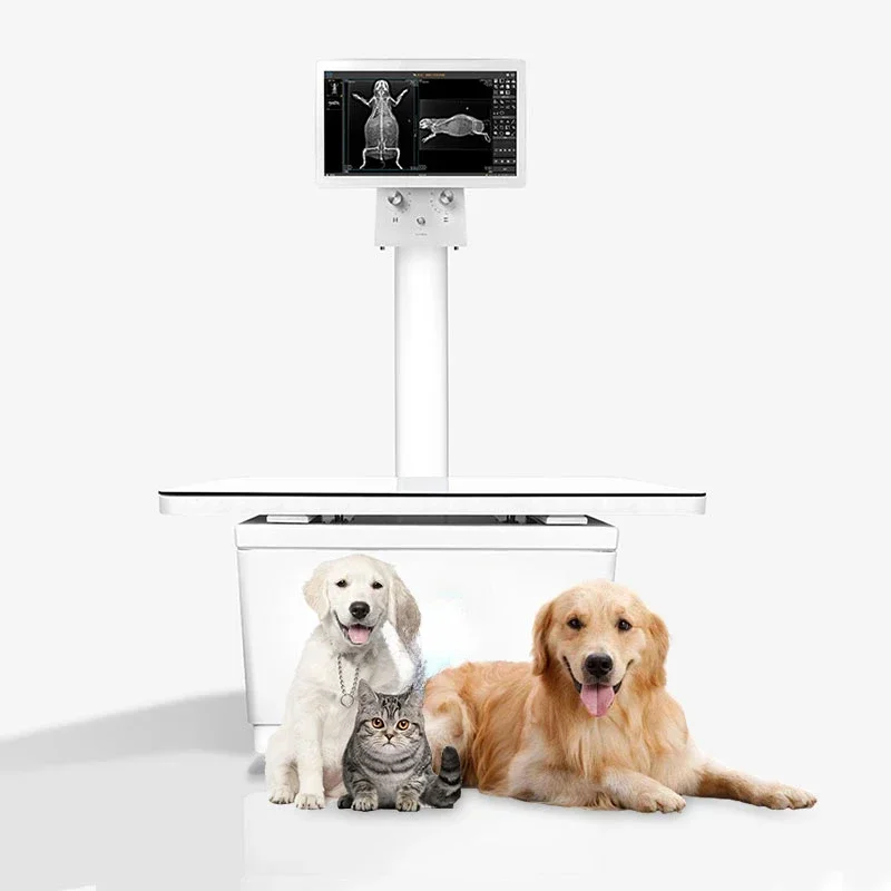 Veterinary Digital Radiology Equipment  Fluoroscopy  Dynamic DR X Ray Machine for Pet Animal Clinic and Hospital