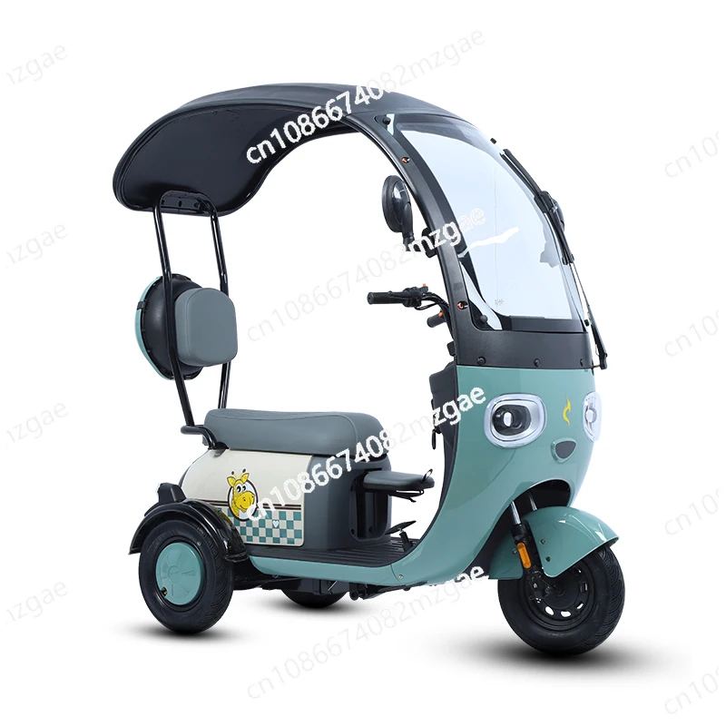 

New Shed Electric Tricycle Pick Up and Drop Off Children Three-wheeled Electric Car Small Women The Elderly with A Canopy
