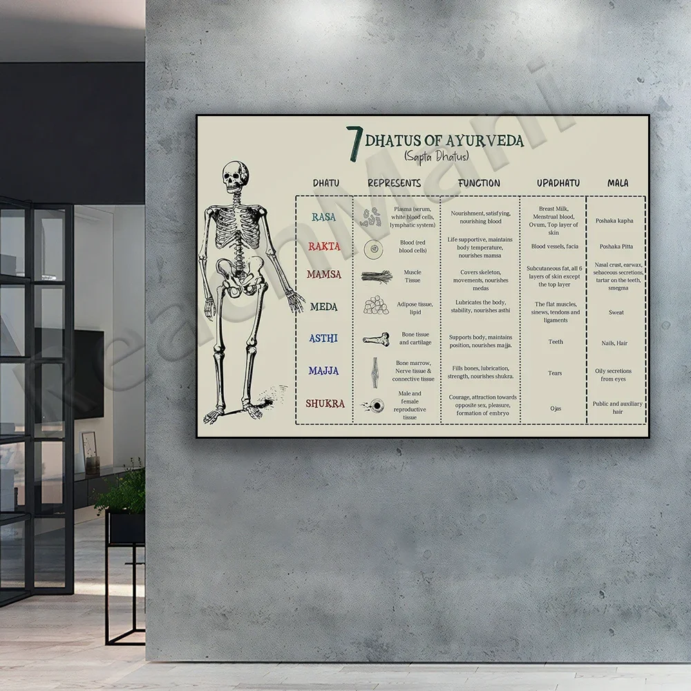 Póster de Ayurveda, Infografías de Ayurveda, Sapta Dhatus, 7 Dhatus de Ayurveda, Medicina Alternativa, Bienestar, Bienestar Holístico