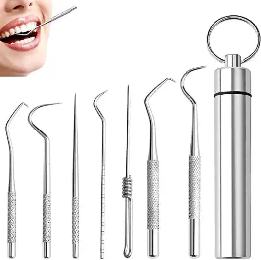 

1 Set Stainless Steel Toothpick Set Portable Oral Cleaning Tools Tooth Flossing Artifact Outdoor Picnic Camp Reusable Toothpick