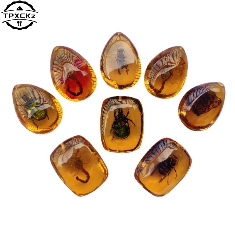 1pc Insects Amber Gemstone Scorpion Animals Amber Stone Home Desk Decor Ornament Insects Amber Gemstone DIY Hand Crafts Gift