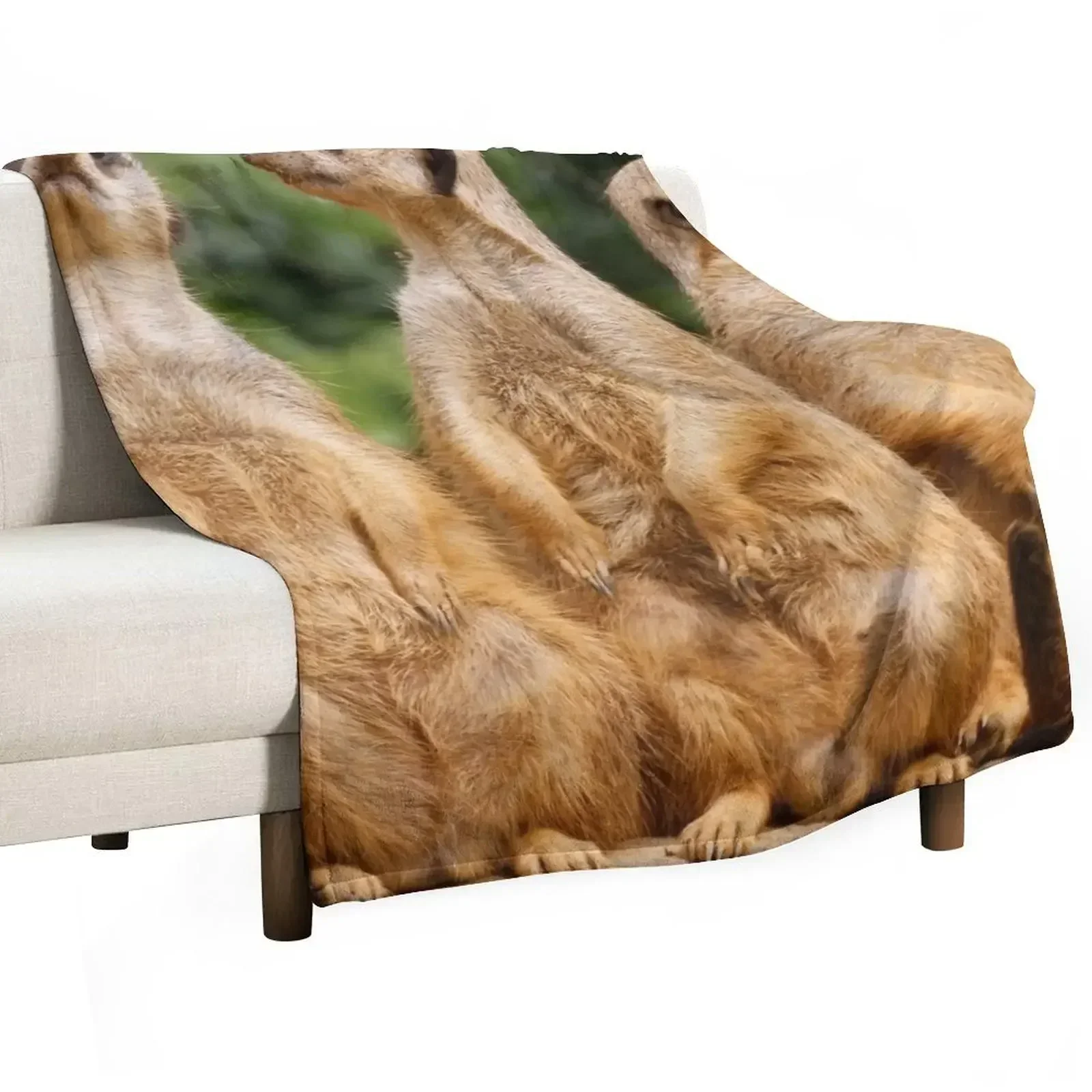 Meerkat 074 Throw Blanket Fashion Sofas Extra Large Throw for winter Multi-Purpose Blankets For Sofas Thermal Blankets