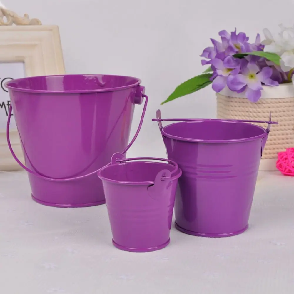 Wall Hanging Bucket Tinplate Iron Flower Pot Pastoral Iron Art Flower Barrel Miniatures Mini Hook Tinplate Water Bucket Balcony