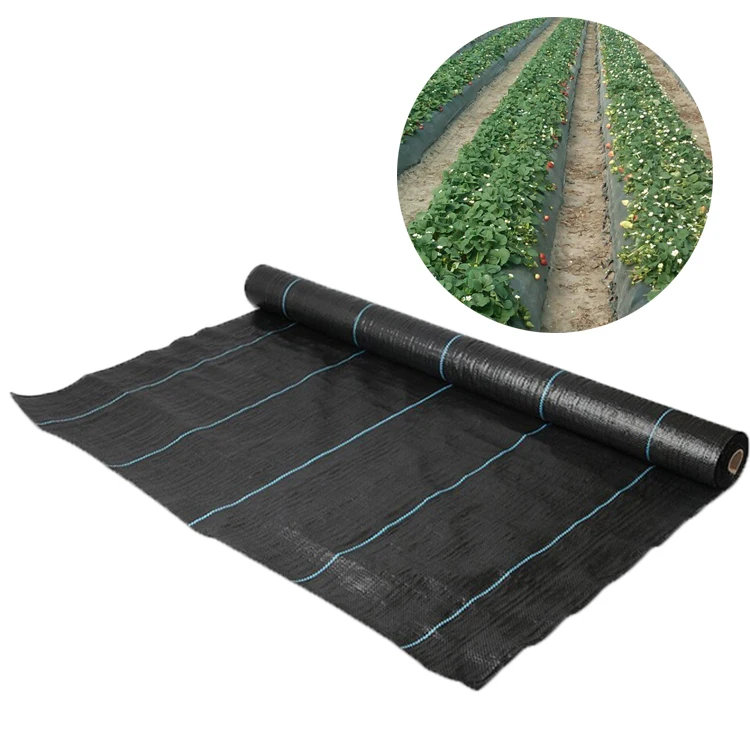 

2025EGP PP or PE Material White Large Weed Mat Ground Cover for Agriculture Weed Barrier Mulch