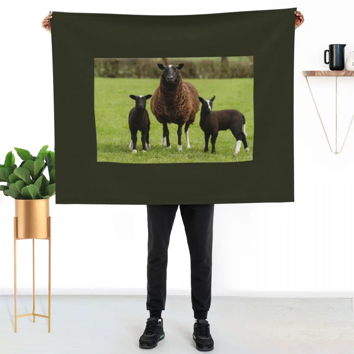 Zwartbles Sheep and Lambs Throw Blanket Hairys Blankets For Sofas Warm for sofa Camping for babies Blankets