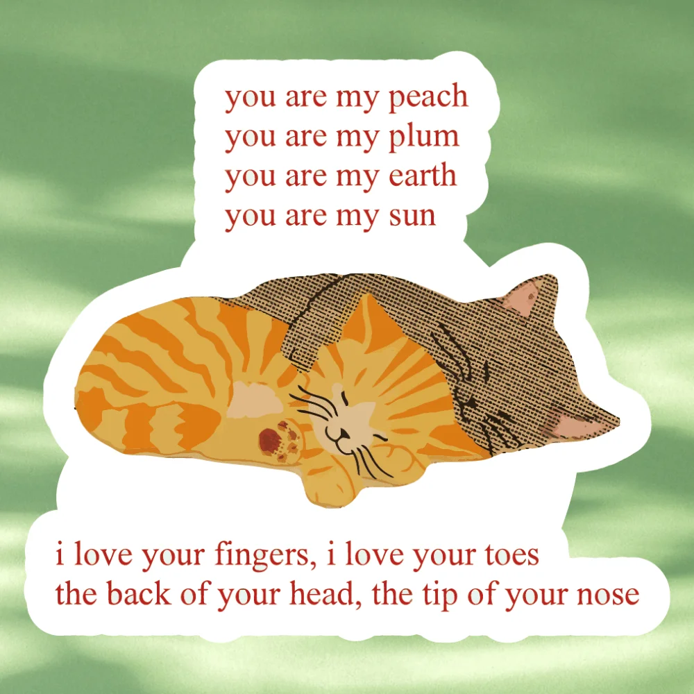 3pcs Sleeping Orange Brown Cat 