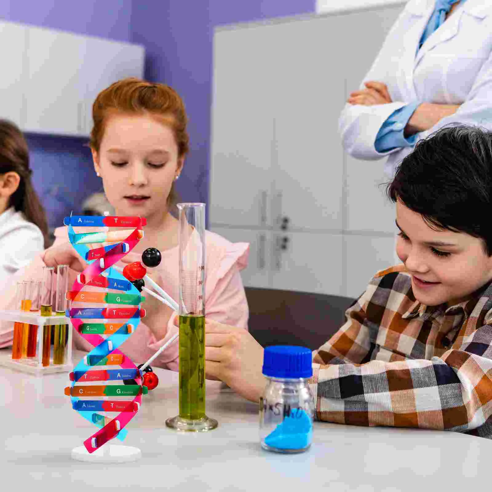 Giocattolo educativo scientifico Nuobestia Doppia elica Sport Abilità pratica Esercizio Apprendimento DNA per bambini Modelli di bambù Aula