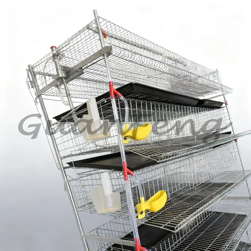 Automatic Egg Collection H-Type Battery Layer Quail Breeding Cage, Poultry Cage with Manure Tray for Farming