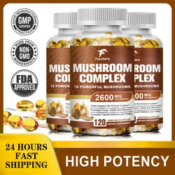 Vegan 10x Mushroom Complex Capsules with Lions Mane, Chaga, Reishi, Cordyceps For Men & Women Mood & Stress Dietary Supplement