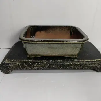 10 best sales עציץ בונסאי גדול - №2