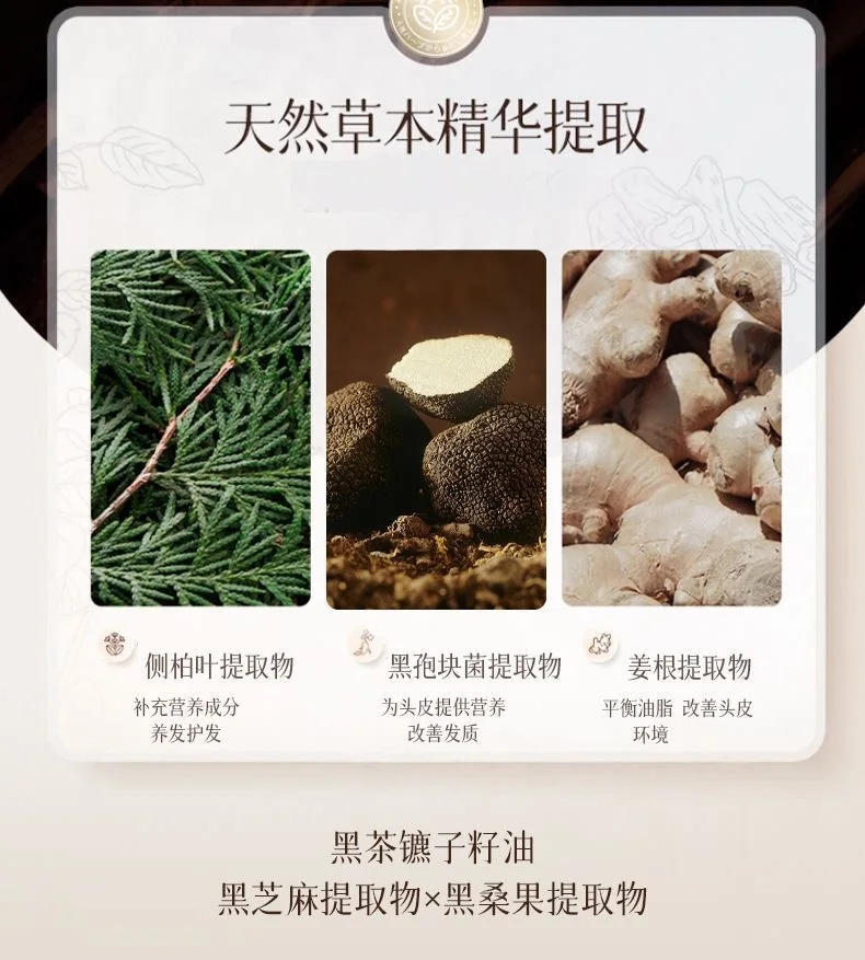 500 مللي شامبو عشبي عثماني منعش للعناية بالشعر المنفوش يقلل من تخفيف الزيت يرطب مع جوهر نبات أوراق الأوركيدوبسيس