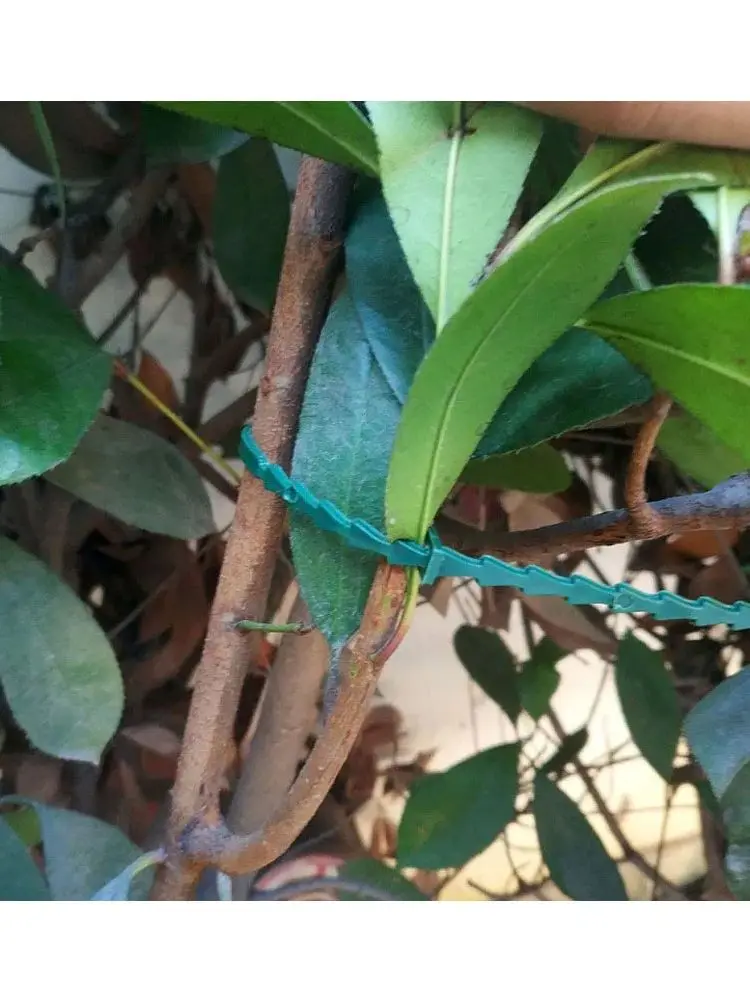 13 ซม.ปรับโรงงานพลาสติกสายผูกReusableไม้พุ่มสําหรับสวนปีนเขาสนับสนุนVineมะเขือเทศStemคลิป