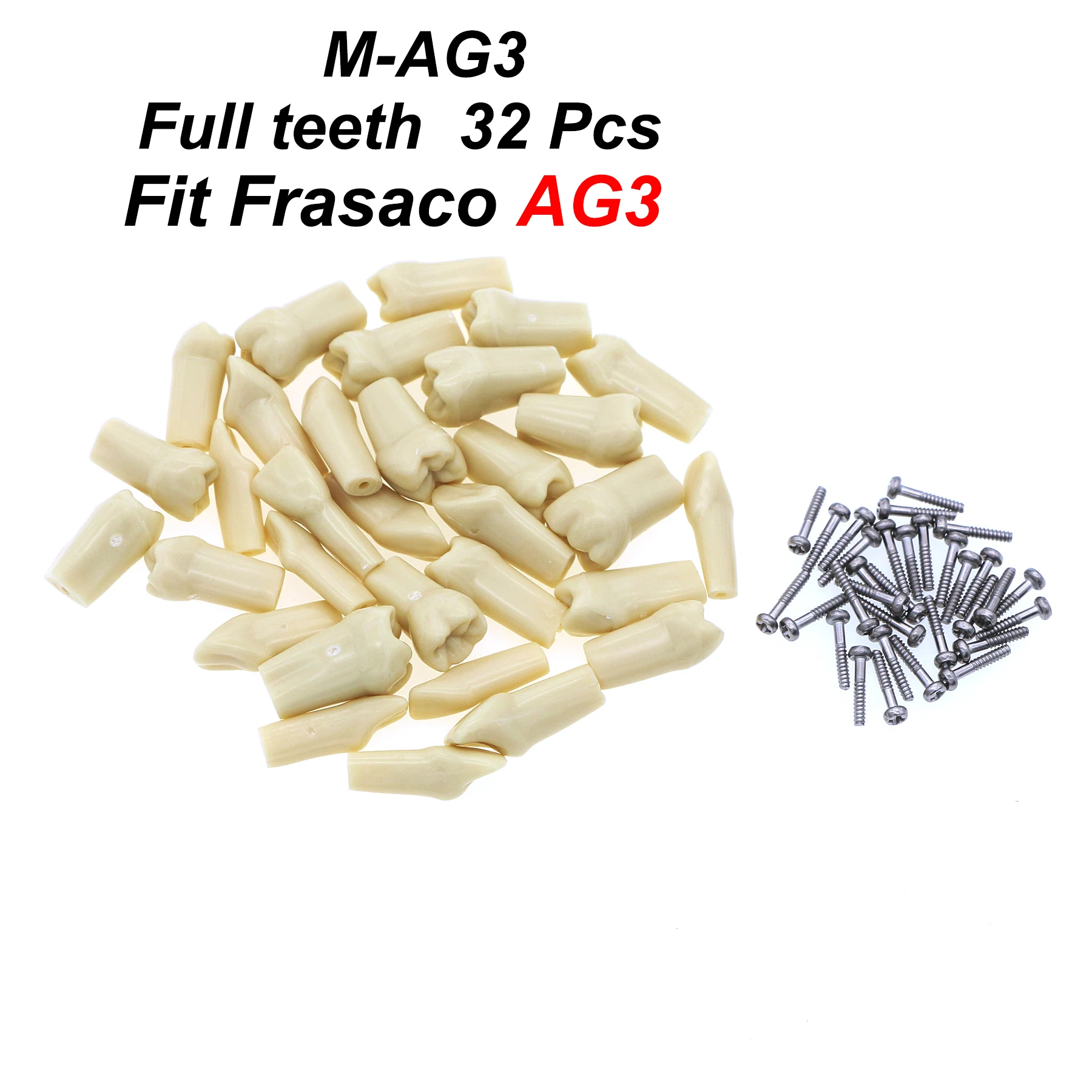 

Fit Frasaco AG3 Typodont Dental Teeth Model Full teeth 32Pcs Screw-in Practice Filling Soft Gum Gingivae Teeth Training Teach