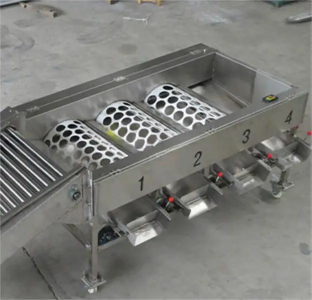 Rotary Drum Grader Potato Onion Apple Tomato Orange Sorting Machine For Vegetable And Fruit Processing Plant