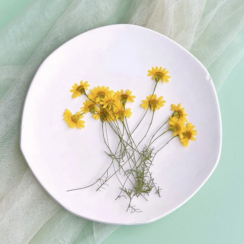 

6-10cm/24pcs,nature pressed Chrysanthemum,real Chamomile branches DIY phone case,nail art,face decoration,dried flower materials