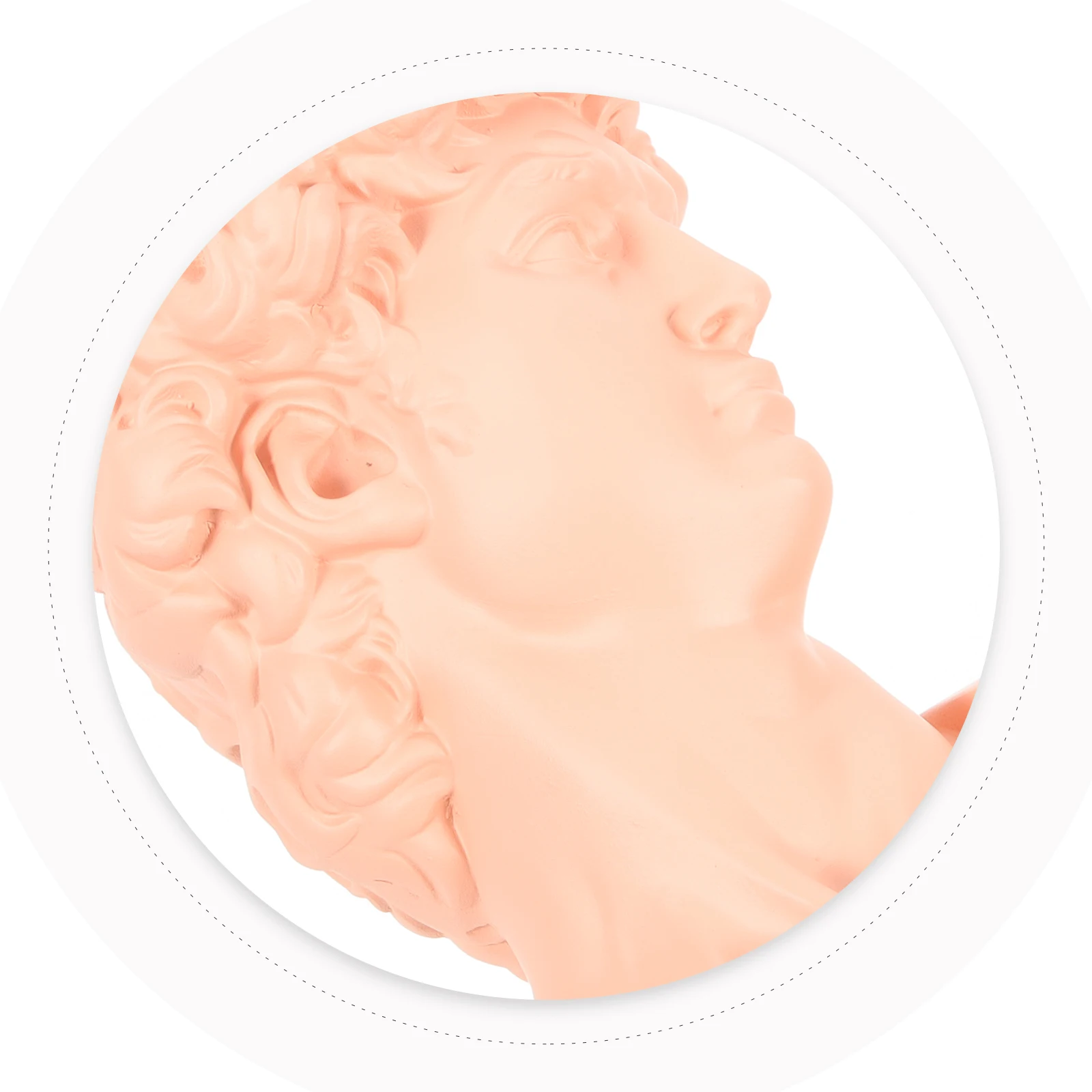 

1pc David Head Sculpture Resin Art Statue Home Office Decor Indoor Display Craft Smooth Surface Easy Clean Home Resin