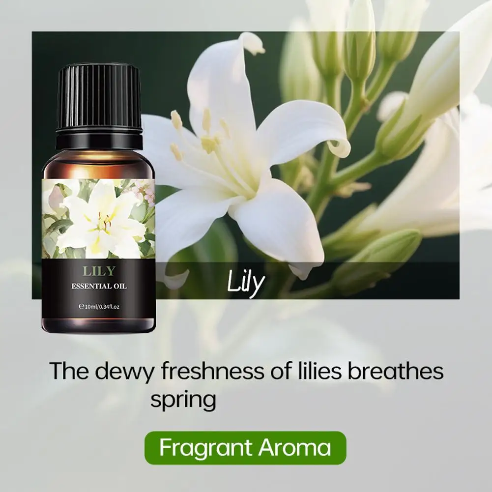 15 Huiles Parfumées Solubles dans l'Eau - Huile d'Aromathérapie 10ml pour Diffuseur, Désodorisant d'