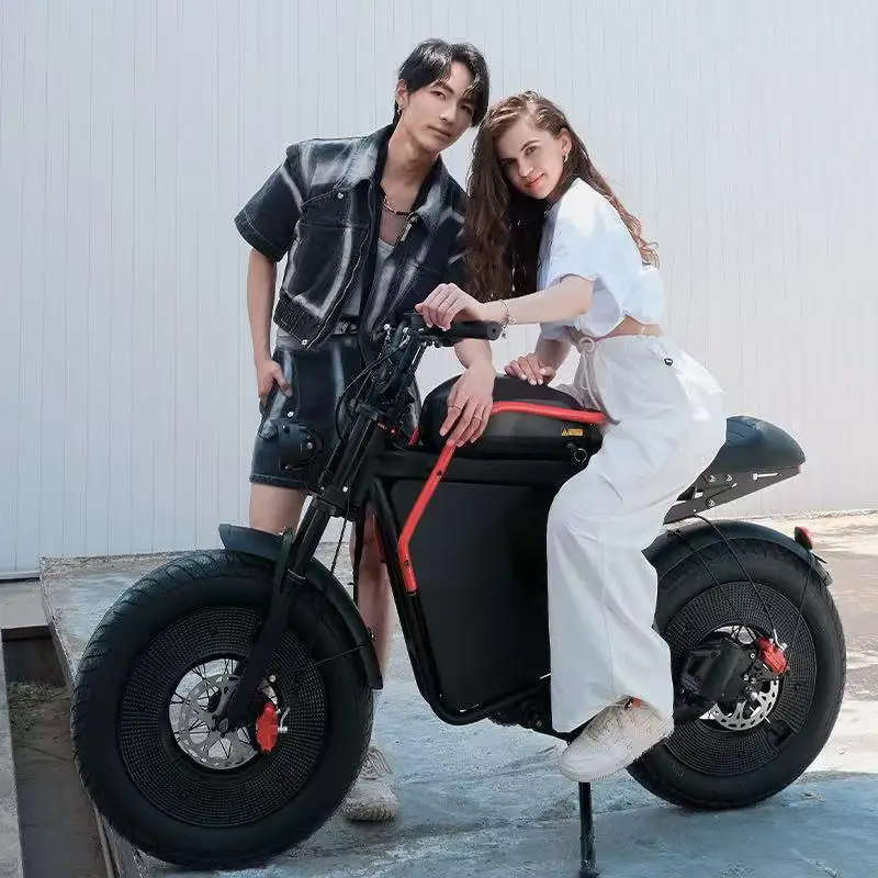 1000W motor HIMOTO X1 E-bike 48V20AH battery Adult mountain electric bike aluminum alloy frame 20 tire off-road electric bicycle image 7