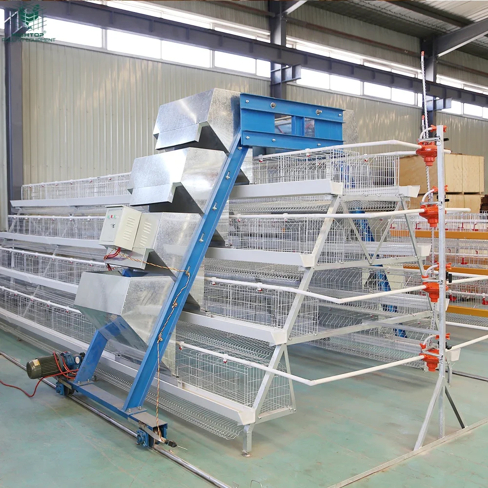Factory Price Poultry Farm A-Type Galvanized 3-Tier RTL Chicken Cage Layer Hens Egg Laying Chicken Battery Cage System for Sale