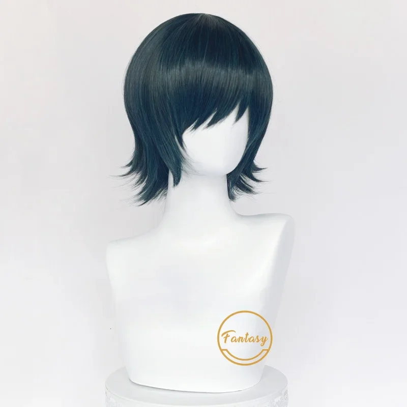 Anime Man Himeno Cosplay Wig Heat Resistant Synthetic Hair Short Wigs for Halloween Costume Party + Free Wig Cap