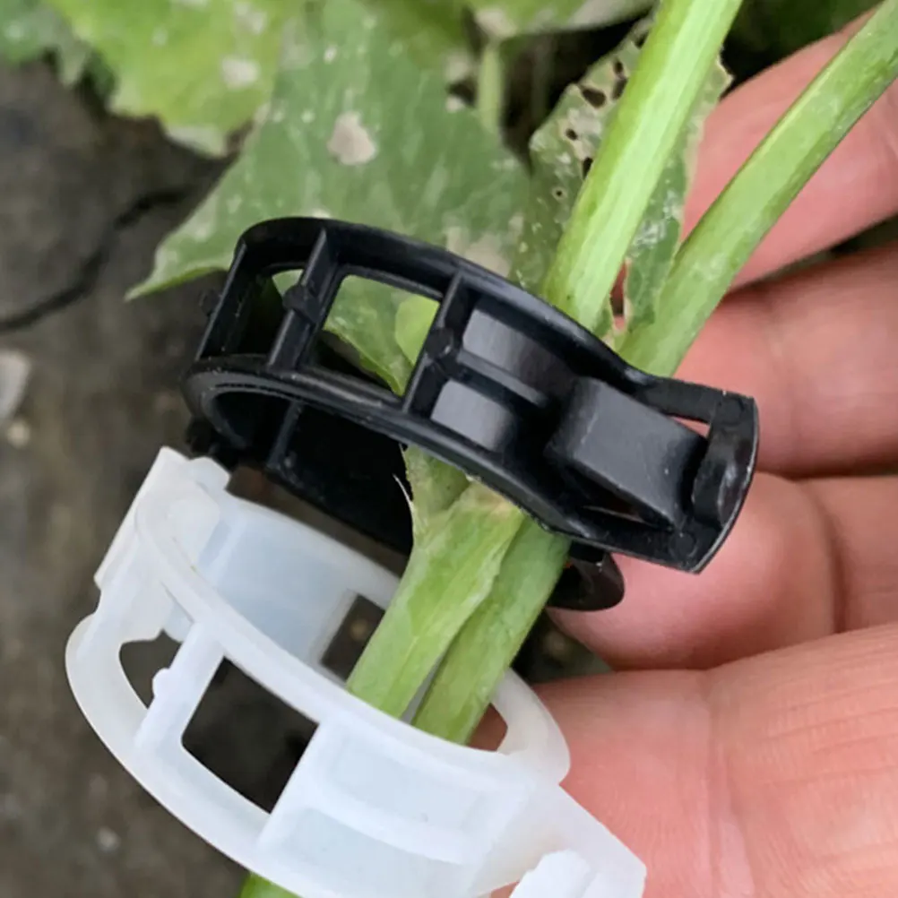 

50pcs Plant Tomato Vine Clamp Tomato Vine Garden PP Material Durable Lightweight Stem Support Clamp Flower