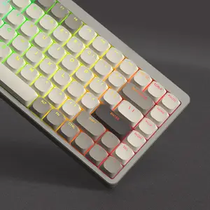 OEM 2024 Borderlit Shinethrough Mechanical keyboard Keycaps