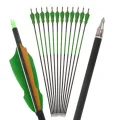 12pcs 2Green SP300