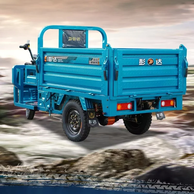 2025 China Hot Sale Adult Electric Self-dischargingThree-Wheeler Motorcycle 3-Wheel Cargo Tricycle Optional Battery Installation