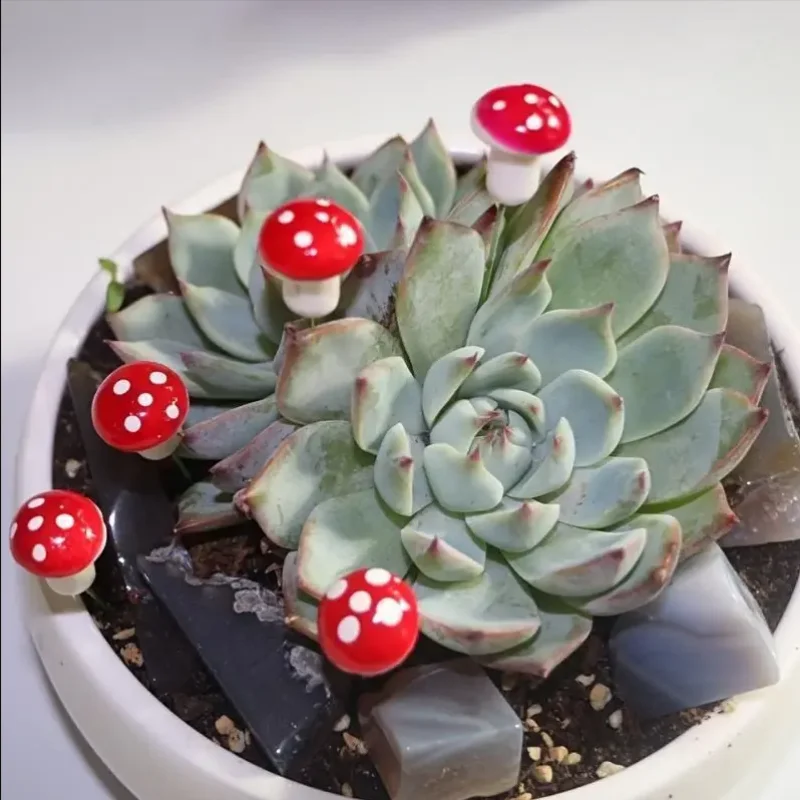 50PCS Mini Color Mushroom DIY Craft Garden Ornament Resin Artificial Foam Potted Plants Moss Decoration Miniature Figurine