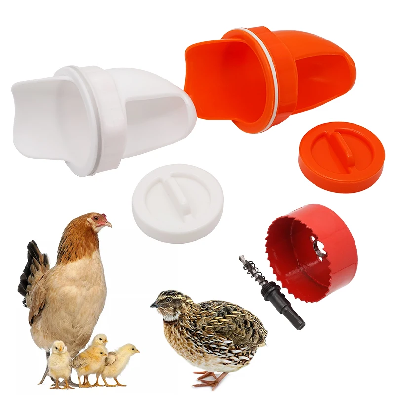 Chicken Feeder Poultry Feeding Supplies Rain Proof Poultry Feeder Port Gravity Feed Kit For Buckets Barrels Bins Troughs 5 Pcs