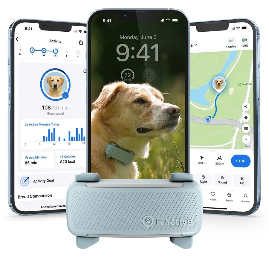 Smart Dog Gps Track…