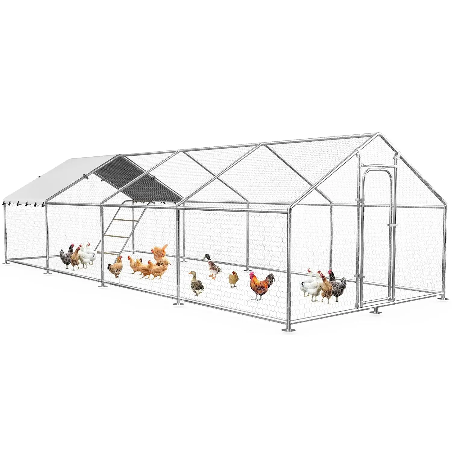Extra Large Metal Chicken Coop Walk-in Poultry Run Hen House Cage 20x10 FT Outdoor Farm Use, Customized