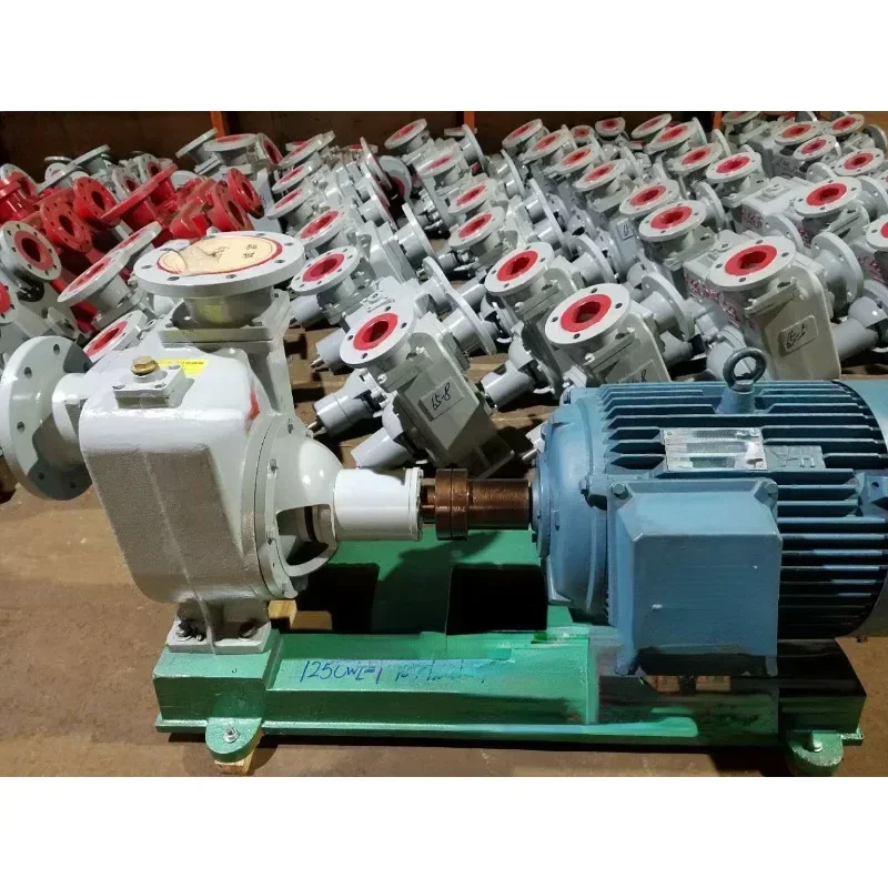 

Marine Self-Priming Centrifugal Pump 100cwz-18 Horizontal Self-Priming Centrifugal Pump Marine Centrifugal Pump CCS Certificate