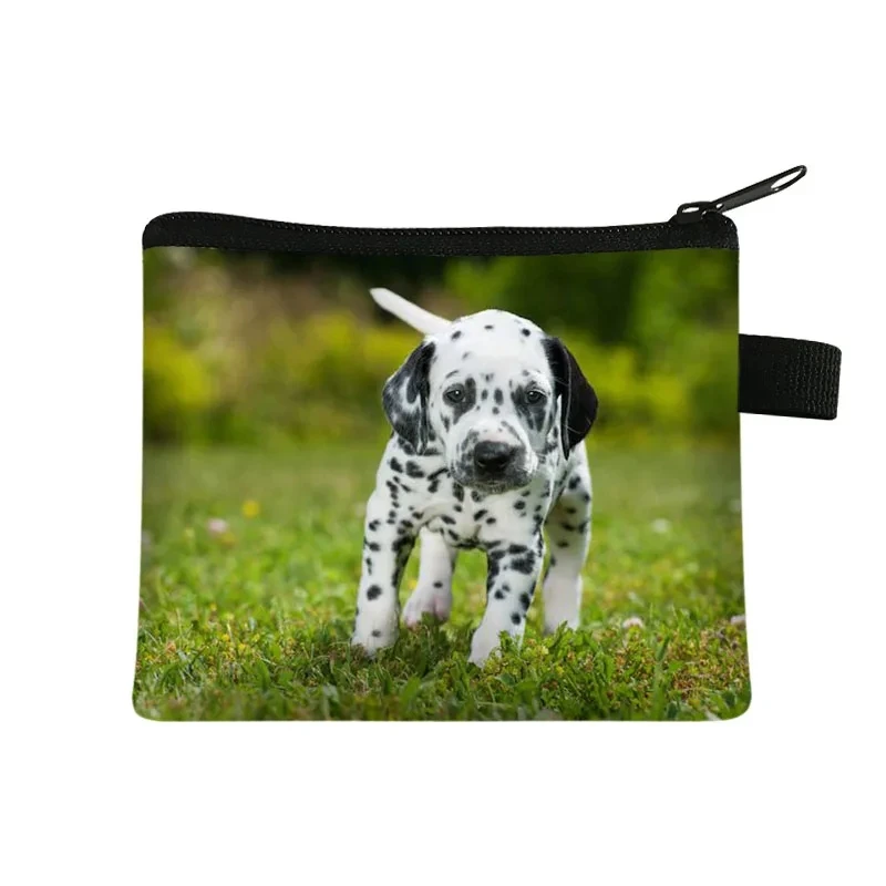 bichon-frise-далматинская-собака-милый-кошелек-маленькая-сумка-клатч-дорожная-сумка-для-девочек-держатель-для-кредитных-карт-наушников-денег-мини-кошелек