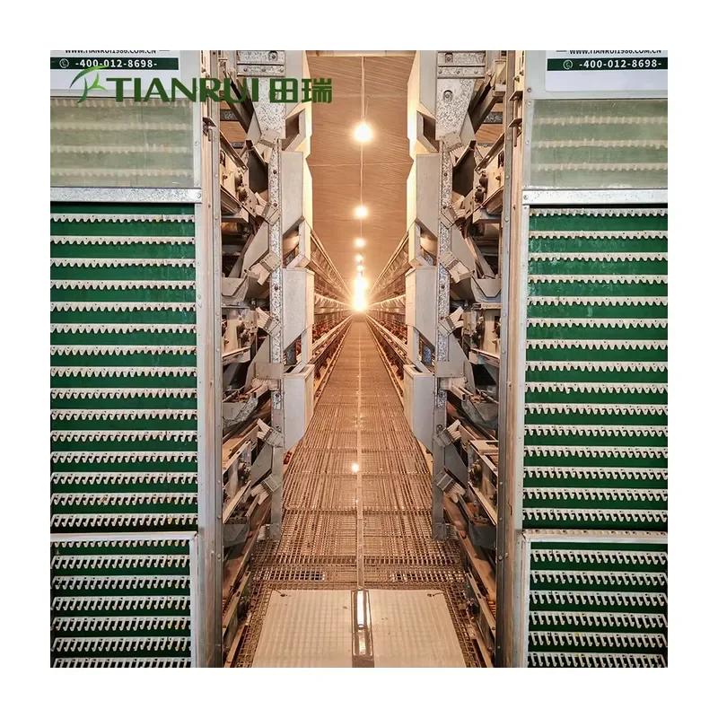 New Automatic Galvanized Steel System Poultry House Egg Battery Laying H Frame Chicken Layer Cage for All Models