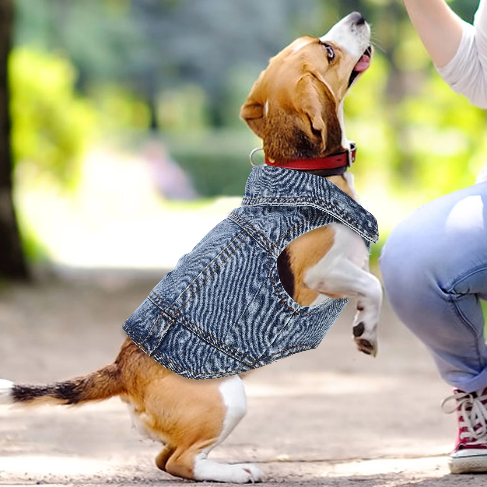 

Pet Dog Jacket Denim Vest Cool Cowboy Style for Chihuahua Poodle Puppy Bulldog Yorkie All Seasons Fashionable Gift Xl