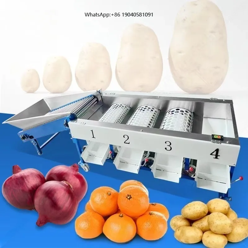 ORME Automatic Potato Onion Palm Date Sorter Blueberry Citrus Mango Size Sort and Grade Machine
