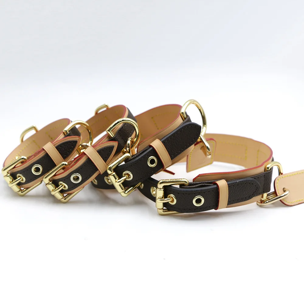 مقود الكلاب الكلاسيكية، أطواق الكلاب الصغيرة والمتوسطة الحجم، حلقات الرقبة Bichon Frise، أغطية الرقبة الحبلية، مستوى المظهر العالي