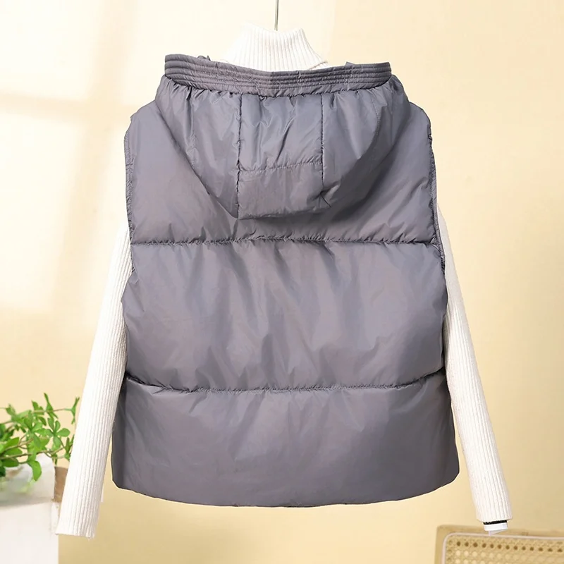 سترة نسائية قصيرة فضفاضة من القطن سترة منتفخة مقاس صغير مع قبعة خريف وشتاء نمط جديد ملابس خارجية غير رسمية عصرية #3