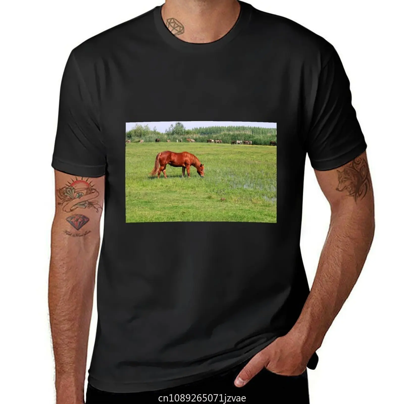 brown horse grazing in green grass field spring season T-shirt cute tops Men's t-shirt