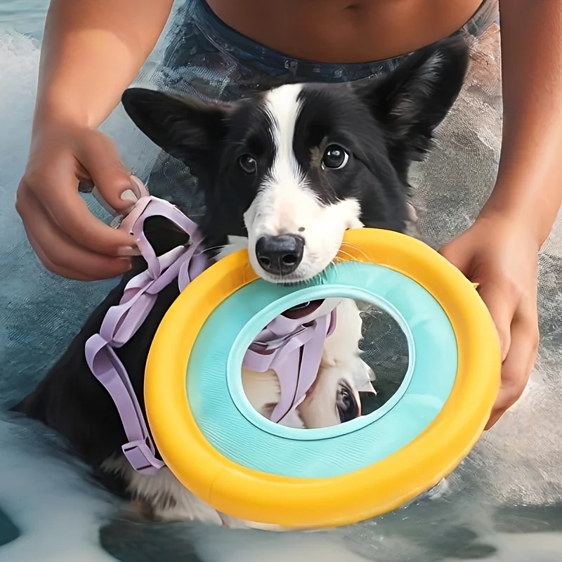 Frisbee Flotante para Perros, Juguete Interactivo de Entrenamiento para Perros Medianos, Sin Baterías