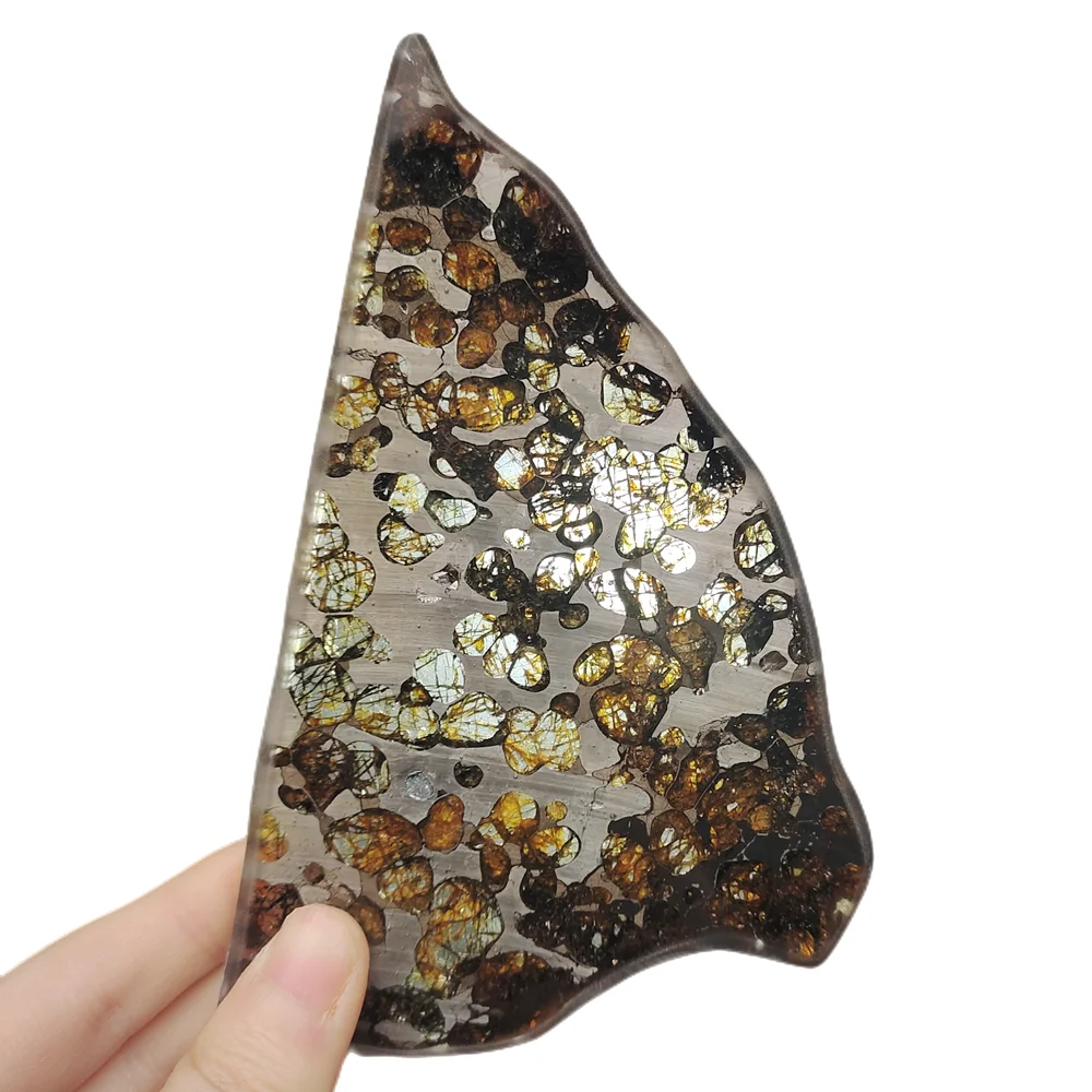 Excellent Brenham olive meteorite slicesNatural meteorite material specimensHigh quality olive meteorite specimens