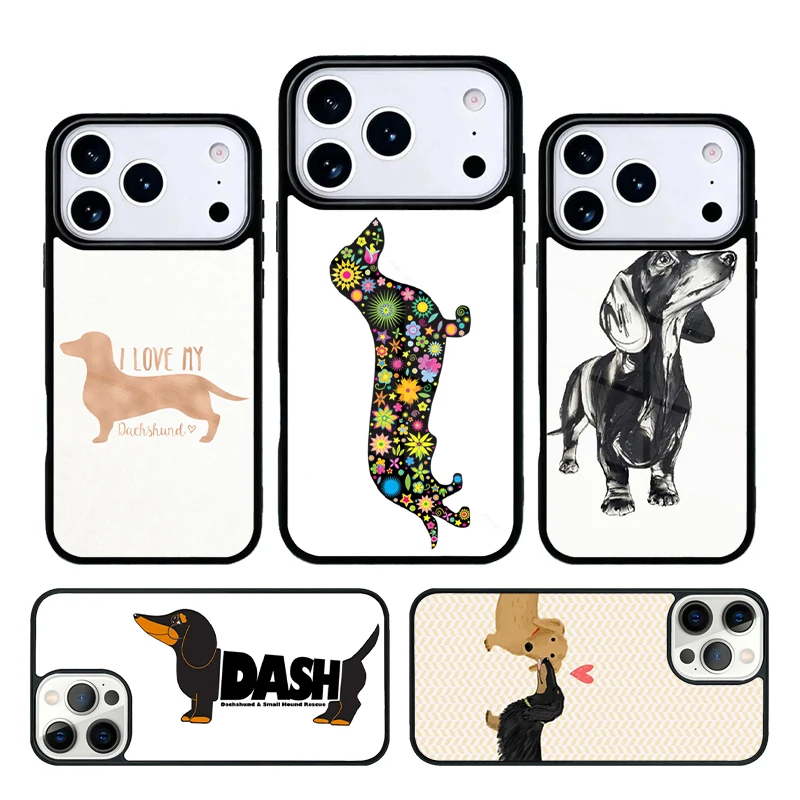 Anatomy Of A Dachsh…